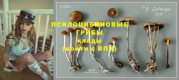 мяу мяу мука Семилуки
