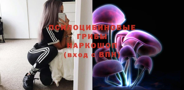 ешки Слюдянка